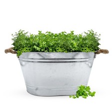 Zink blumen wanne mit - zink,