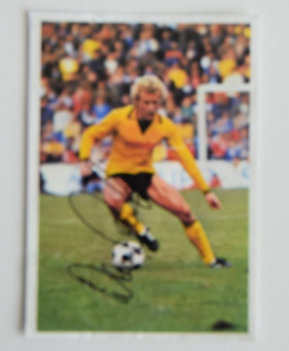 Bergmann bundesliga 80 - bundesliga, 79/80