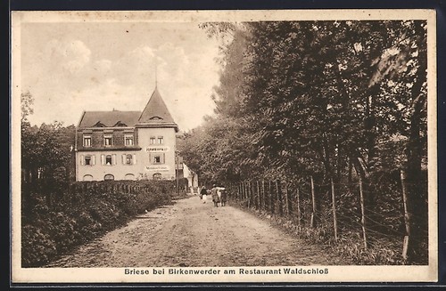 Briese partie restaurant - briese,,