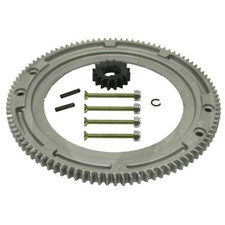 Zahnkranz für Briggs Stratton