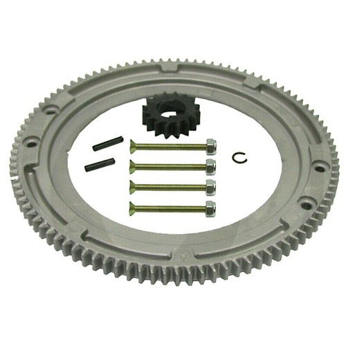 Zahnkranz für briggs stratton - zahnkranz,