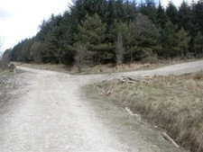 Foto 6x4 Waldstraße Kreuzung