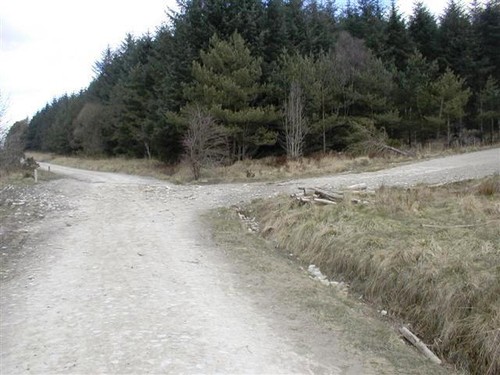 Foto 6x4 waldstraße - foto, kreuzung