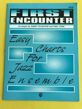 First Encounter, Sandy Feldstein & Paul Cook, Guitar, Big Band