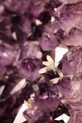 Amethyst-Zwillingsdruse