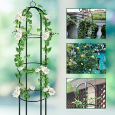 Rosenbogen Rosensäule