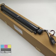 Fixing Film Assembly für