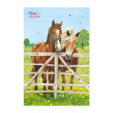 Pferdefreunde Braune Pferde stehen auf der Koppel Poster 40x60 cm, One size