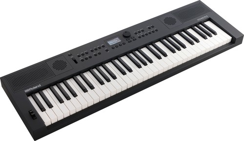 Roland keys keyboard - keys, 5-gt