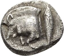 Mysien Kyzikos Triobol Boar Thunfisch Silber 11 mm/ 0,7 g Original Münze #LAF214