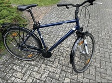 Fahrad Pegasus Piazza 7