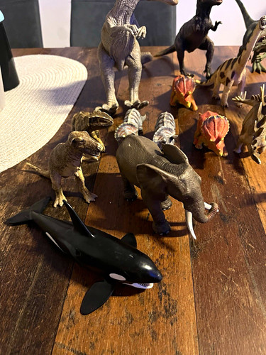 Schleich sammlung dinosaurier - schleich,
