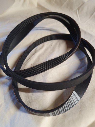 Keilrippenriemen 1239pj5e - keilrippenriemen,