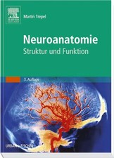 Neuroanatomie