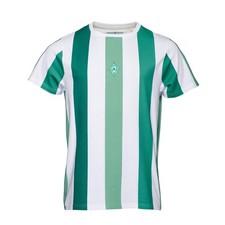 SV Werder Bremen GOTS T-Shirt Streifen Gr. M-3XL