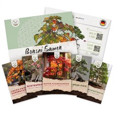 Außergewöhnliche Bonsai