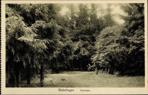 Oebisfelde weferlingen in - oebisfelde,