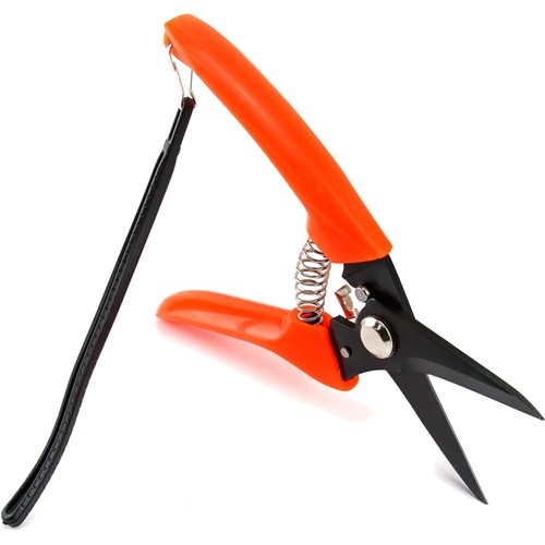 Klauenschere schafe alpaka - schafe,
