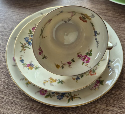 Sammeltassen teilig gedeck - sammeltassen,