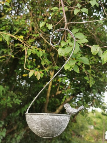 Vogeltränke futterstelle - vogeltränke,