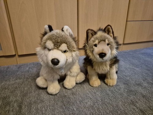 Teddy hermann wolf - hermann, 29