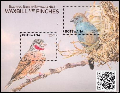 Botswana 2024 vögel - 2024,