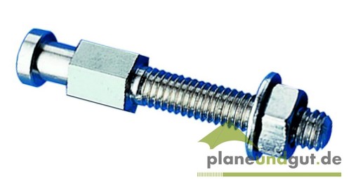 Minax,Persenning
