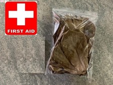 Seemandelbaumblätter - 10,