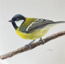 Meise Original Pastell Malerei, Vogel Gemälde, Pastell auf Papier, 20x20 cm