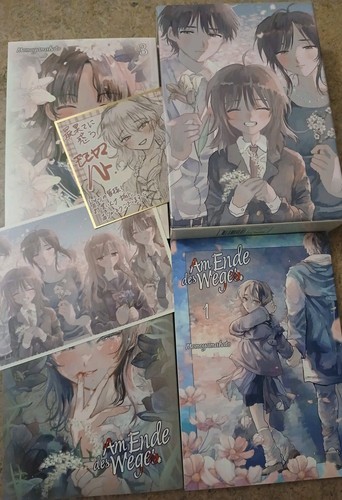 Manga ende des weges - manga,