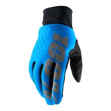 Winterhandschuhe 100 mx - 100%,