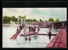 Ansichtskarte Cincinnati, OH, Swimming Pool Chester Park 1907 