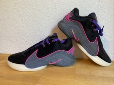 Nike Lebron (James) XXII 22