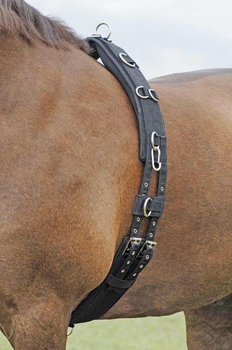 Busse longiergurt bu - busse,