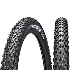 Chaoyang hornet mtb - hornet,