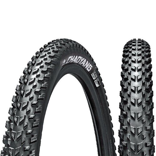 Chaoyang hornet mtb - chaoyang,