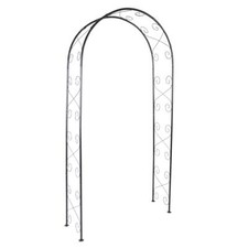 Rosenbogen Torbogen Rundbogen