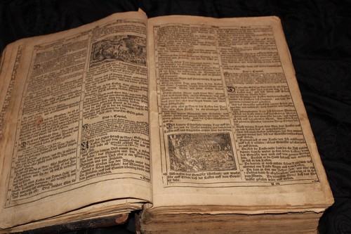 Antik martin luther bible - martin,