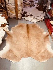 RINDERFELL,BULLENFELL,KALBFELL,CHROMFREI,DIREKT AUS GERBEREI,BEIGE,TOP!!