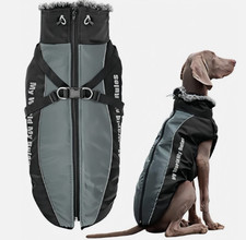 Schnee Hundemantel Winter