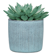 Scheurich Blumentopf Solido Linea Übertopf Versch Farben & Größen Pflanztopf