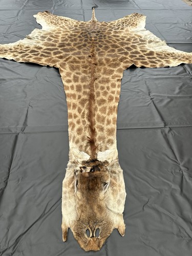 Echtes giraffenfell aus - echtes,