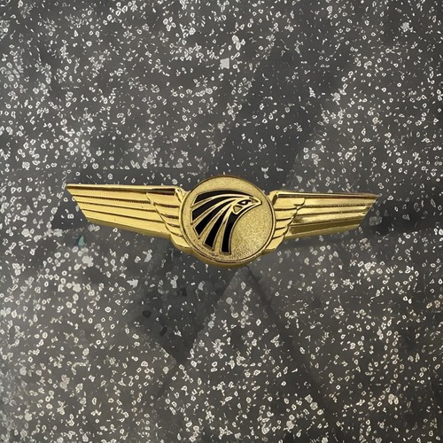 Egyptair captain wings - egyptair,