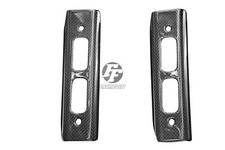 Carbon Kühlerverkleidung für