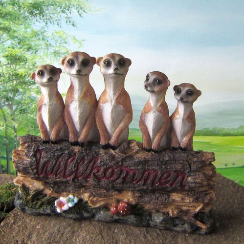 Erdmännchen willkommen schild - erdmännchen,