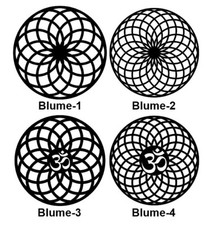 Torus-Blume des Lebens