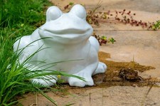 Gartenfrosch keramik - gartenfrosch,