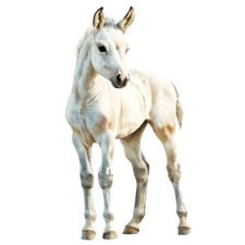 100x stickers horse - 100x,