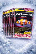 SAHAWA Artemia Frostfutter
