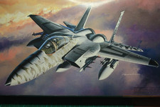 Fujimi Nr.: R9 , F-15C Eagle
